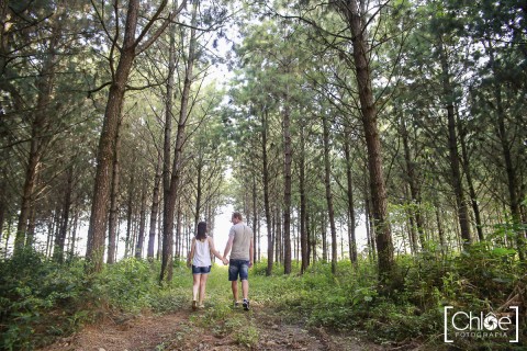 Pre-wedding